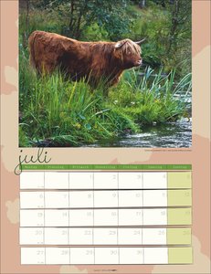 Kuh Kalender 2026