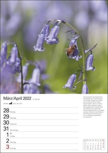 Bienenwiesen Kalender 2022