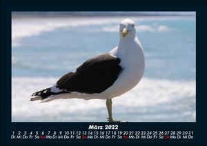 Vogel Kalender 2022 Fotokalender DIN A5