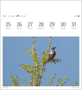 Heimische Vögel Kalender 2022