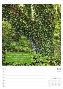 Magie des Waldes Wochenplaner 2023. Kalender mit Fotos, die die Schönheit des Waldes meisterhaft zur Geltung bringen. Praktischer Wandplaner mit hochwertigen Naturaufnahmen.