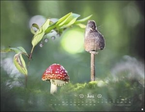 Trunov Märchenhaftes Waldleben Posterkalender. Naturkalender 2023 gestaltet vom russischen Naturfotografen Vadim Trunov. Fotokalender 2023 im Querformat. 44x34cm