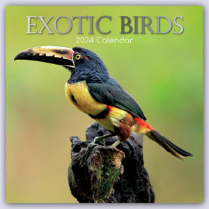 Exotik Birds - Exotische Vögel 2024 - 16-Monatskalender