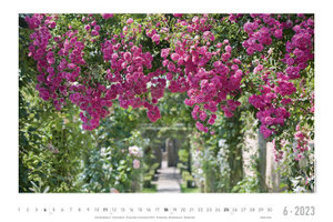 Rosengartenträume 2023 - Bildkalender 49,5x33 cm - hochwertiger Blumenkalender - Wandkalender - Wandplaner - Gartenkalender