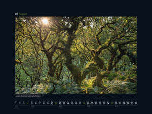 Magische Wälder - KUNTH Wandkalender 2024