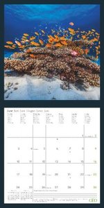 GEO Amazing Nature 2024 - Wand-Kalender - Broschüren-Kalender - 30x30 - 30x60 geöffnet