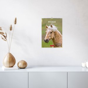Pferde Wochenplaner 2026 - 53 faszinierende Fotografien