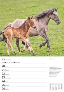 Pferde Wochenplaner 2026 - 53 faszinierende Fotografien