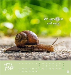 Never give up! Postkartenkalender 2026