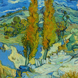 Vincent van Gogh - Colours of the Provence 2024