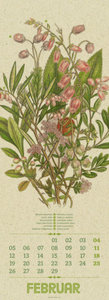 Wildwuchs - Botanische Illustrationen - Graspapier-Kalender 2024