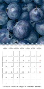 FRUITS SELECTED PAINTINGS BY YANNY PETTERS (Wall Calendar 2021 300 × 300 mm Square)
