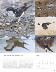 Vögel in unseren Gärten Posterkalender 2022