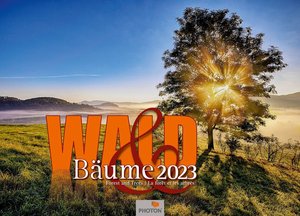 WALD & BÄUME Kalender 2023
