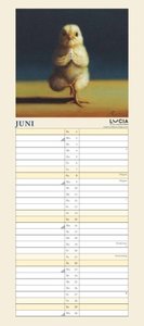 Lucia Heffernan: Yoga Chicks Planer 2025 – Wandkalender – Notiz-Kalender mit 2 Spalten – Format 22 x 49,5 cm