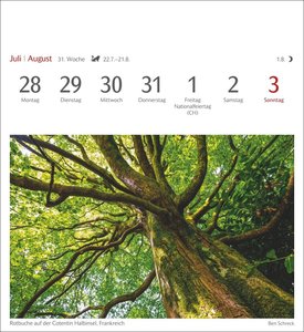 Bäume Postkartenkalender 2025 - Wochenkalender mit 53 Postkarten