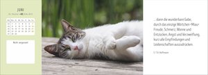 Katzen Premium-Tischplaner 2026 - Der literarische Wochenkalender mit Zitaten