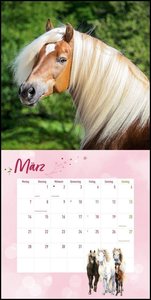 Pferdefreunde 2022 - Broschürenkalender - Kinder-Kalender - Format 30 x 30 cm