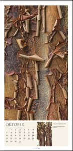 Baum Art Kalender 2024. Lebende Kunstwerke: Bäume mit ungewöhnlichen Rinden, fotografiert von dem französischen Naturfotografen Cédric Pollet. Länglicher Kalender.