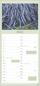 Gartenplaner 2023. Wandplaner mit 12 wunderschönen Natur-Fotos. Farbenprächtiger Foto-Kalender zum Eintragen. Praktischer Terminkalender für die Wand. 16x35 cm