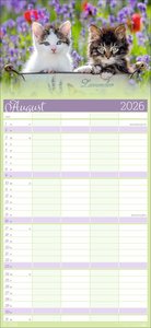 Cool Cats Familienplaner 2026