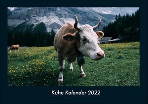 Kühe Kalender 2022 Fotokalender DIN A4
