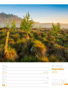 Unser Wald - Wochenplaner Kalender 2023
