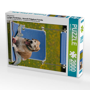 CALVENDO Puzzle Ein Motiv aus dem Kalender Lustiges Hundeleben - Azawakh Ridgeback Porträts 2000 Teile Puzzle hoch