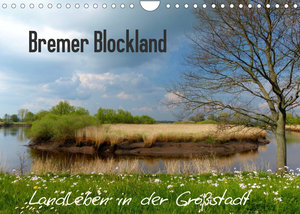 Bremer Blockland - Landleben in der Großstadt (Wandkalender 2022 DIN A4 quer)