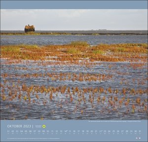 Nationalpark Wattenmeer Kalender 2023. Großer Foto-Wandkalender. Landschaften-Kalender 2023 mit atemberaubenden Fotos vom Wattenmeer. 48x46 cm Querformat.