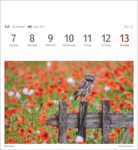 Heimische Vögel Postkartenkalender 2025 - Wochenkalender mit 53 Postkarten