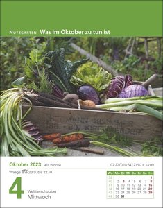 Mein Garten Tagesabreißkalender 2023. Tischkalender für jeden Tag. Tageskalender mit praktischen Gartengestaltungs-Tipps. Garten-Kalender 2023 zum Abreißen.