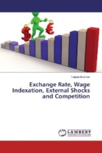Exchange Rate, Wage Indexation, External Shocks and Competition