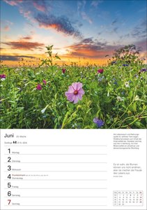 Naturschätze Deutschlands Wochenplaner 2026 - Eine Reise in 53 Bildern