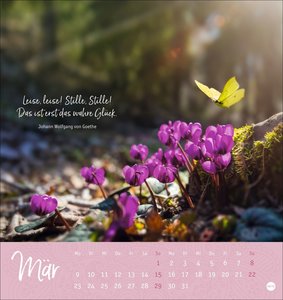 Stille Momente Postkartenkalender 2026