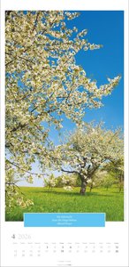 Wunderwelt der Bäume Kalender 2026