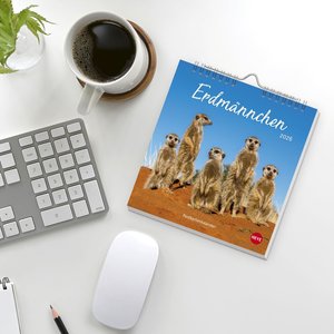 Erdmännchen Postkartenkalender 2026