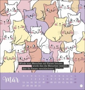 Katzensprüche Postkartenkalender 2023