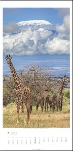 Giraffen Kalender 2023