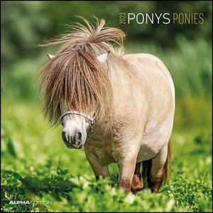 Ponys 2023 - Broschürenkalender 30x30 cm (30x60 geöffnet) - Kalender mit Platz für Notizen - Ponies - Bildkalender - Wandplaner - Pferdekalender