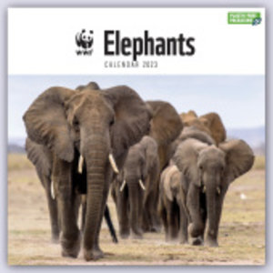 WWF Elephants - Elefanten 2023
