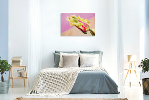 Premium Textil-Leinwand 90 cm x 60 cm quer Ein Bild aus dem Kalender Tulpen - Deutsche Version