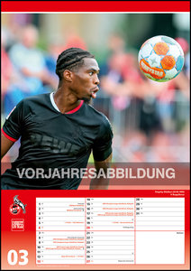 1. FC Köln 2023 - Fußball-Kalender - Express-Fankalender - Wandkalender 29,7 x 42 cm