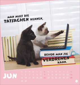 Mach mal Pause Postkartenkalender 2026