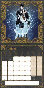 Pyramid – Harry Potter (Magical) 2025 Broschürenkalender, 30x30cm, Kalender für Fans der Harry-Potter-Welt, Wandkalender mit magischen Szenen und Charakteren, nachhaltig nur mit Papierumschlag