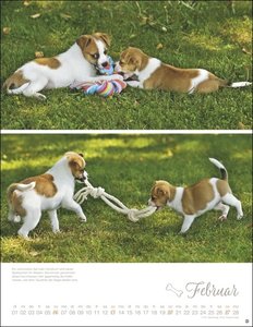 Hundekinder Posterkalender 2022