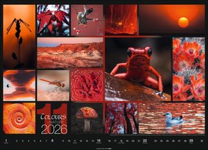 Colours of Nature Kalender 2026