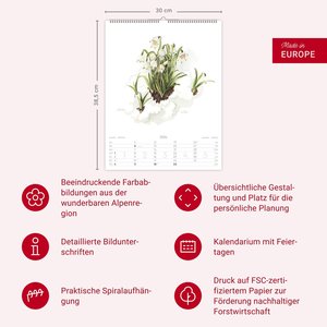 Alpenblumen-Aquarelle Kalender 2026