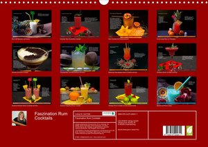 Faszination Rum Cocktails (Wandkalender 2023 DIN A3 quer)