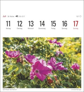 Sylt Kalender 2022